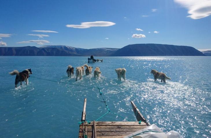Groenlandia, l’effetto ottico della slitta trainata sull’acqua - In a Bottle