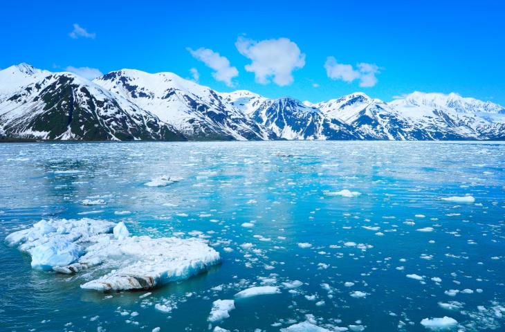 Cambiamenti Climatici e Scioglimento dei Ghiacciai – In a Bottle