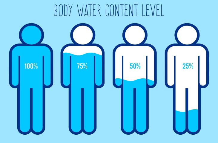 Il corpo umano potrebbe essere fatto d'acqua per il 99% 