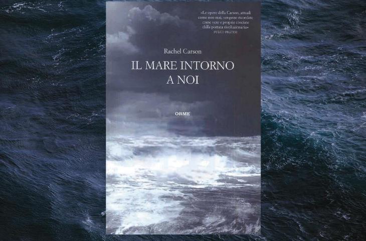 “Il mare intorno a noi”, la biografia del mare della scrittrice ambientalista Rachel Carson - In a Bottle