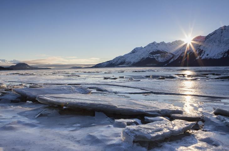 In crociera tra i ghiacciai dall'Alaska a New York 