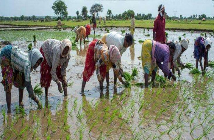 In India gli agricoltori vengono educati con il digitale_alt tag