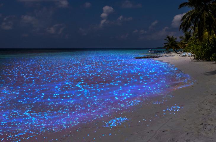 Isola di Vaadhoo: il mare stellato delle Maldive 