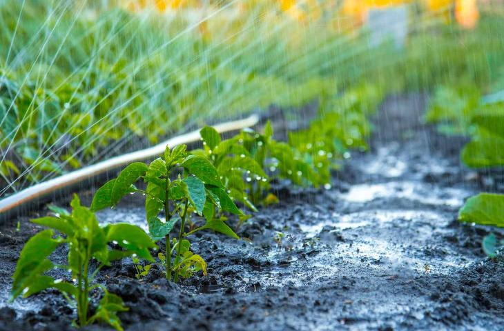 L’acqua in agricoltura: elemento fondamentale da salvaguardare