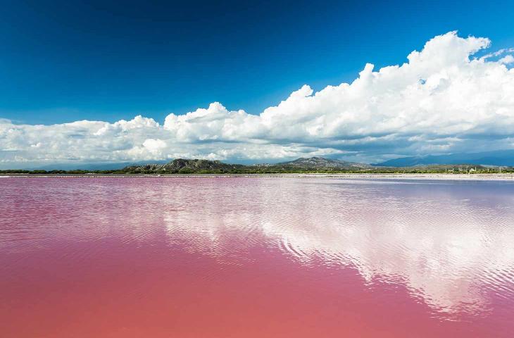 Lago di Colore Rosa: il Lago Retba si Trova in Africa – In a Bottle