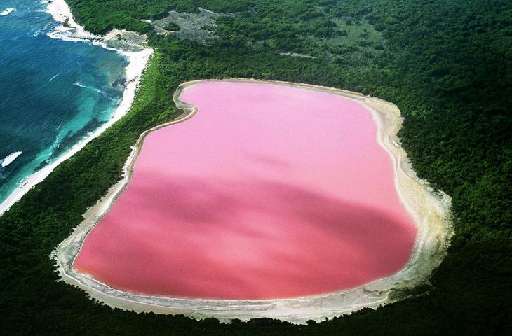 Lake Hillere, il fiabesco lago rosa australiano alt_tag