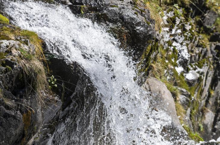 The importance of respecting natural balances when drawing water - In a Bottle