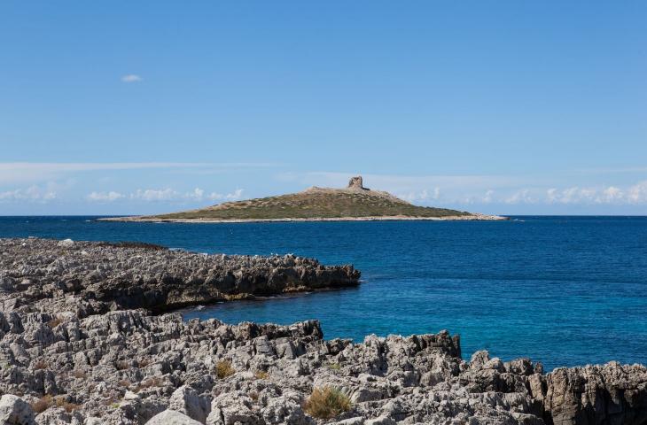 L’Isola delle Femmine è in vendita? Ecco l’idea di quattro artiste, che la vogliono acquistare - In a Bottle