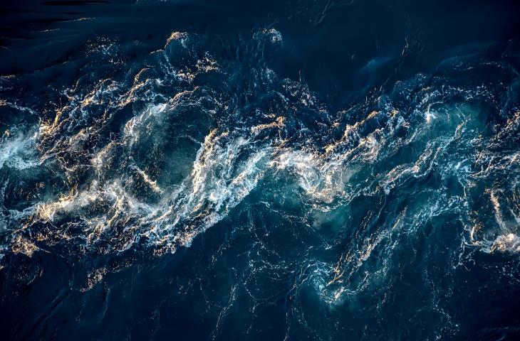Dal 5 febbraio, all’Acquario Civico di Milano, la mostra “Il colore dell’acqua” - In a Bottle