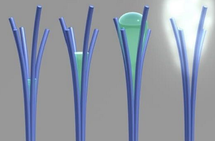 Nanotubi e raccolta di acqua: la nuova scoperta alt_tag