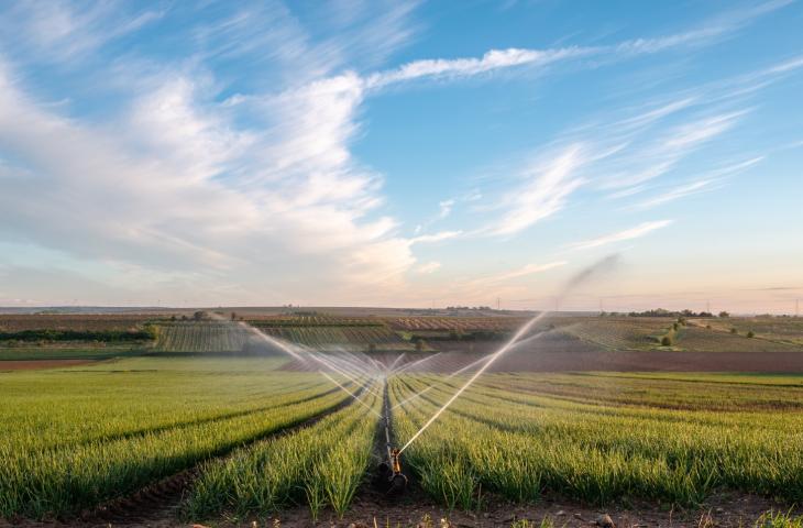 Irrigazione Scientifica Ottimizzata e Consapevole – In a Bottle