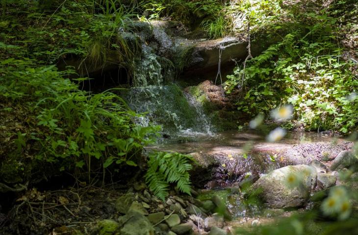 La Fonte della Biodiversità di Acqua Panna