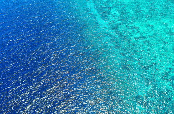 Perché gli oceani sono sempre più acidi?