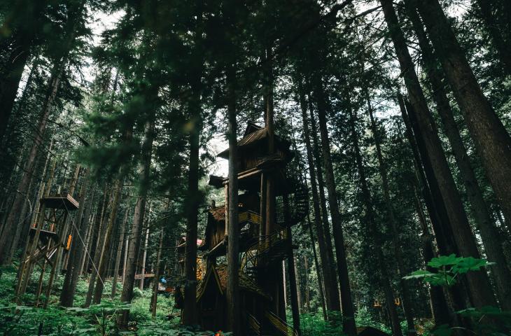 Arriva la Wild Generation, il ritorno alla natura diventa un trend globale