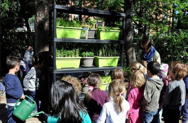 scuole infanzia orto verticale