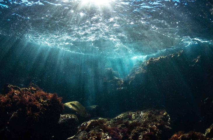 Qual è lo stato di salute degli oceani? - In a Bottle