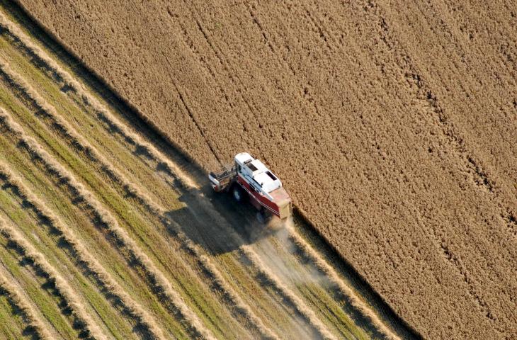 In Europa si perdono 11 ettari di suolo l’ora