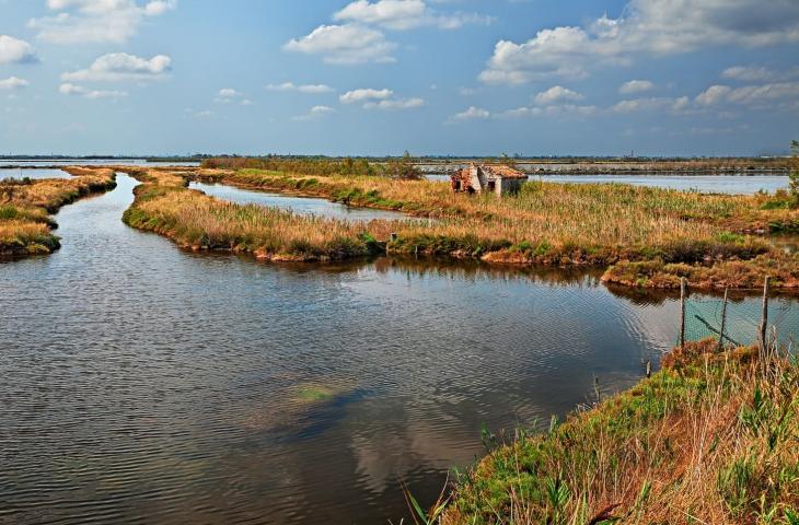 Il trattato di Ramsar e la tutela della biodiversità