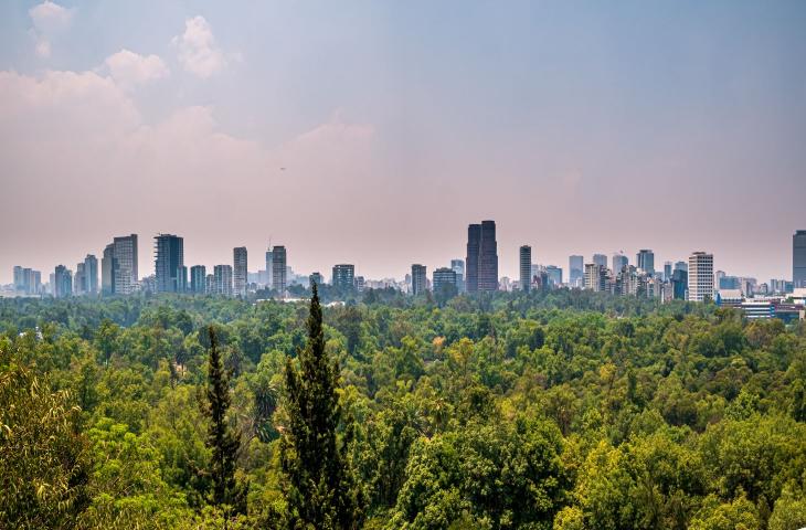 Un mix tra sostenibilità ambientale e smart city: ecco la Città Foresta di Cancún - In a Bottle