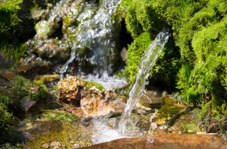 Scienziati pubblici misurano i livelli delle acque della sorgente Nestlé Waters di Osceola Township, nel Michigan - In a Bottle