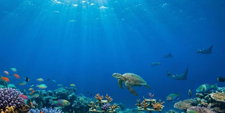 Giornata Mondiale degli Oceani 2026 “REIMAGINE” e una nuova visione del mare