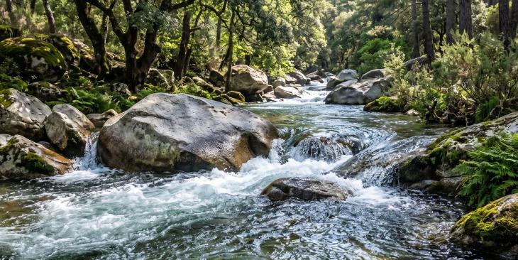 L’acqua, simbolo del cambiamento. Perché continuiamo a pensare in modo liquido