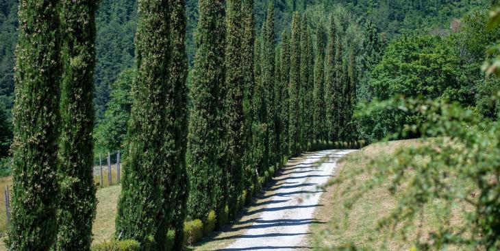 Perché proteggere le fonti favorisce la biodiversità e salva le specie