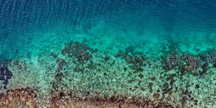 Perché l’acqua è trasparente: una questione di luce