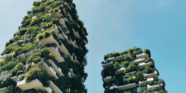 Architettura verde e acqua: progetti che integrano risparmio idrico e bellezza