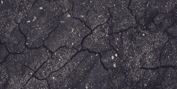 Giornata Mondiale del Suolo: perché il 5 dicembre ci ricorda ciò che non vediamo