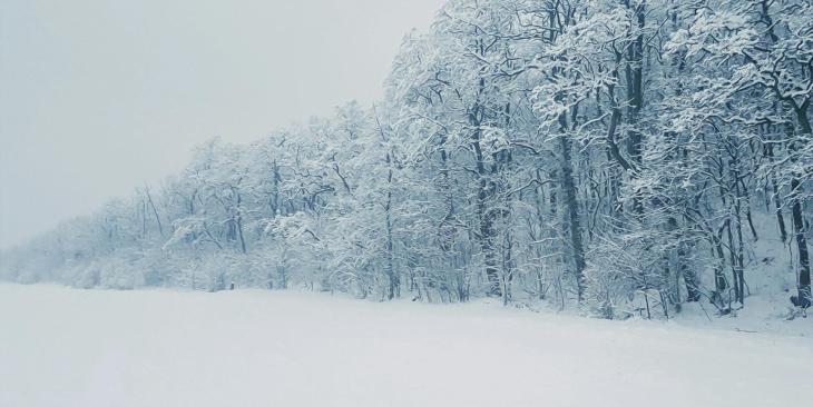 Dove nasce la neve: il viaggio invisibile di una goccia d’acqua