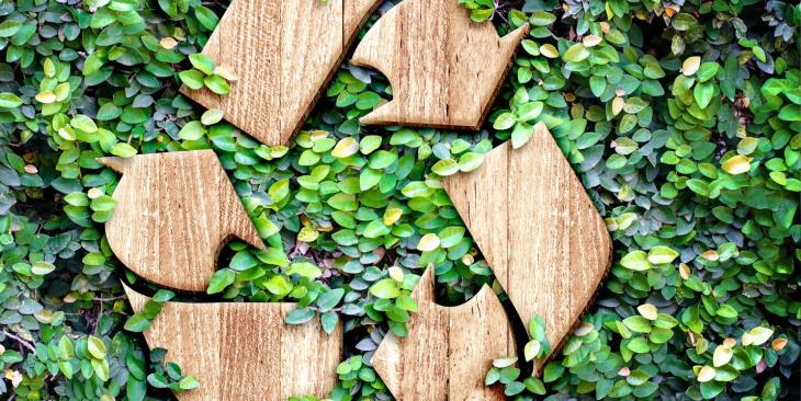 Sostenibilità in Italia: a che punto siamo? Ce lo svela il Rapporto ASviS