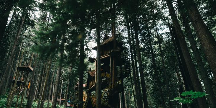 Arriva la Wild Generation, il ritorno alla natura diventa un trend globale