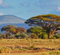 Kenya: scoperte fonti sotterranee, 66 miliardi di litri di acqua