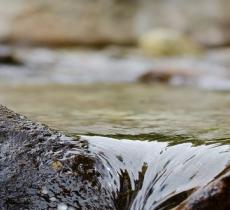 La qualità dell'acqua passa dalla protezione delle fonti