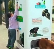 Smart Recycling Boxes, la macchina che regala cibo per cani e gatti