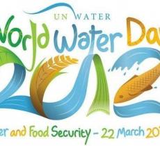 Torna la Giornata Mondiale dell'Acqua