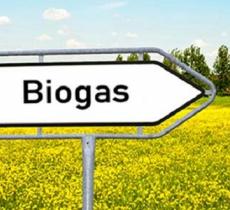 Svizzera: lavori per un impianto a biogas targato Nestlé Waters