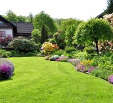 Come mantenere verde il giardino evitando eccessivo consumo d'acqua 
