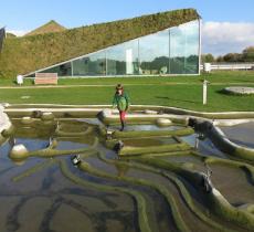 Biesbosch Museum, il Museo dell’Acqua più suggestivo d’Olanda