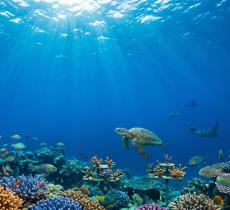 Giornata Mondiale degli Oceani 2026 “REIMAGINE” e una nuova visione del mare