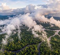 L'Amazzonia, fabbrica d'acqua del pianeta