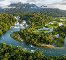 L’acqua che plasma i tropici il motore invisibile di paesaggi e biodiversità riformulato