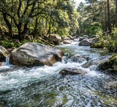 L’acqua, simbolo del cambiamento. Perché continuiamo a pensare in modo liquido