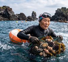 Le donne pescatrici di Jeju storia e tradizioni delle Haenyeo