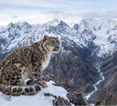 Le montagne che custodiscono l'acqua del futuro