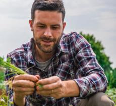 Matteo Fiocco l’agricoltura come scelta di vita