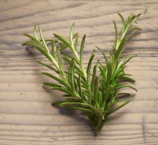 I benefici dell'infuso al rosmarino