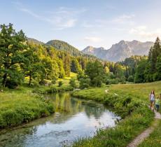 Parchi naturali e benessere: quando la natura protetta migliora la qualità della vita