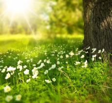Nature-On, la natura sempre più protagonista sui social 
